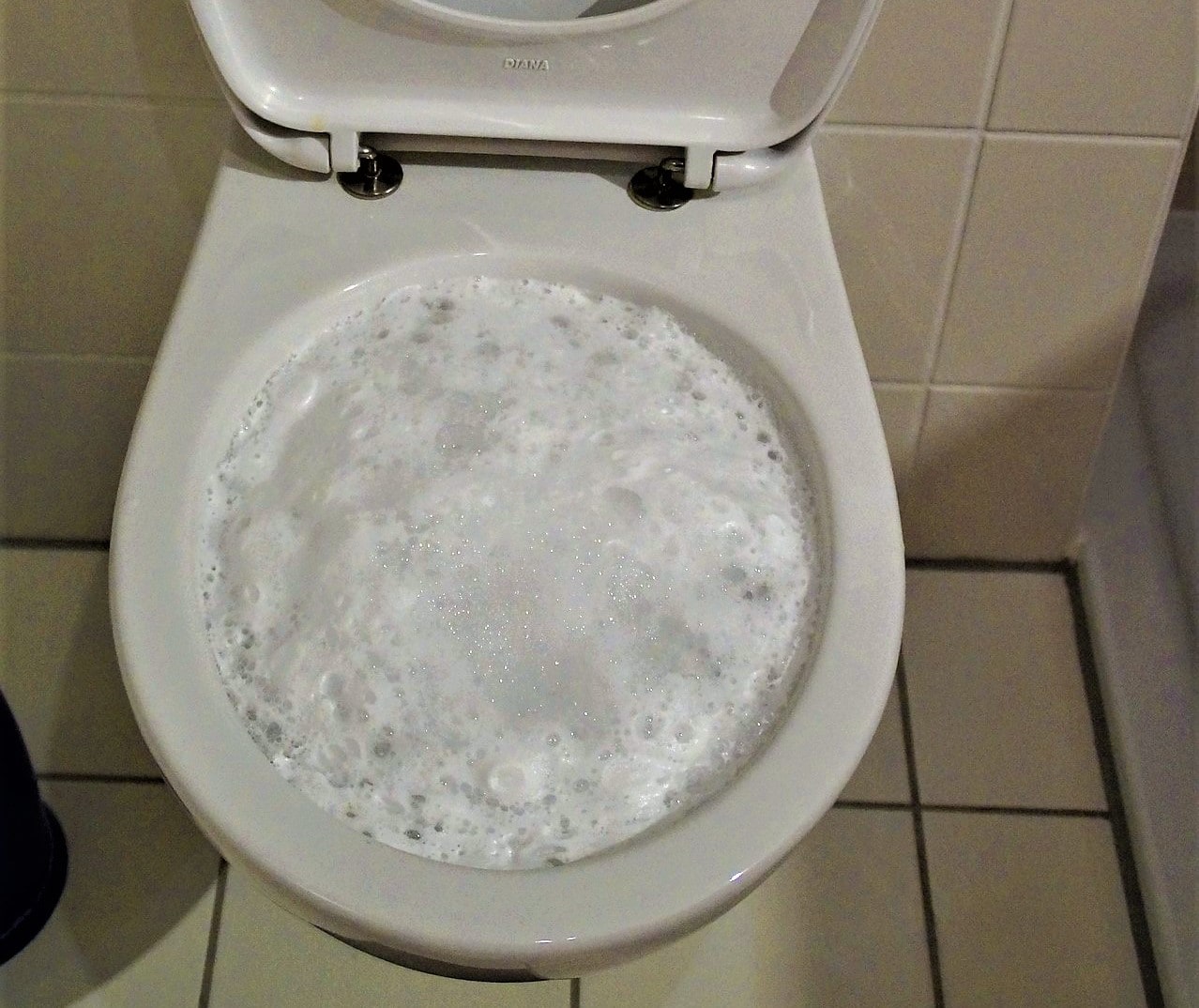 L’eau des toilettes remonte quand je tire la chasse que fautil faire ? Allo Débouchage